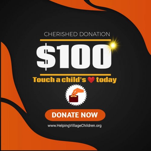 Donate 100